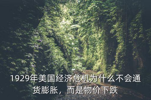 1929年美國經(jīng)濟危機為什么不會通貨膨脹，而是物價下跌