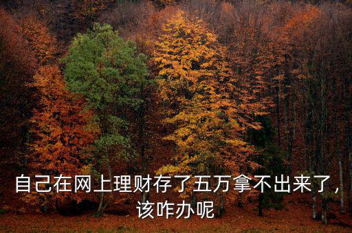 自己在網(wǎng)上理財(cái)存了五萬拿不出來了，該咋辦呢
