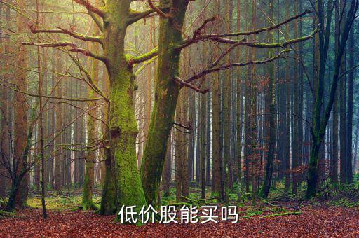 低價(jià)股能買(mǎi)嗎