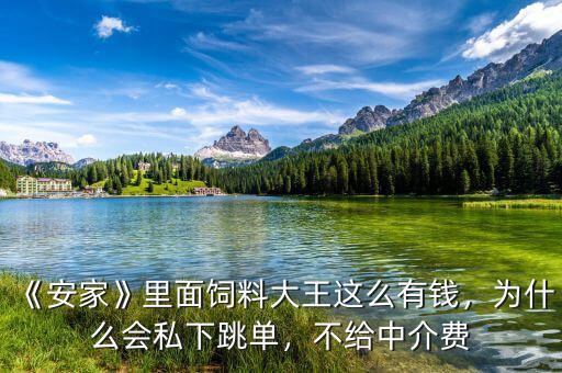 《安家》里面飼料大王這么有錢，為什么會私下跳單，不給中介費