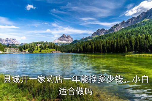 縣城開一家藥店一年能掙多少錢，小白適合做嗎