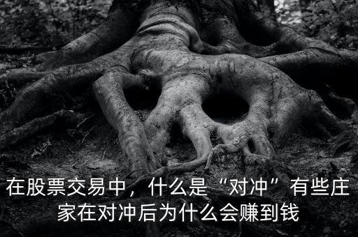 在股票交易中，什么是“對(duì)沖”有些莊家在對(duì)沖后為什么會(huì)賺到錢(qián)