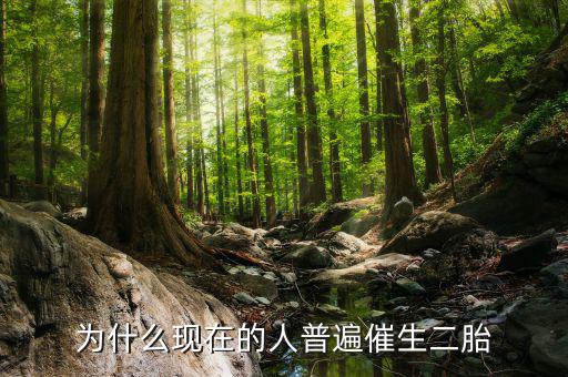 為什么要鼓勵生二胎,現在國家鼓勵生二胎