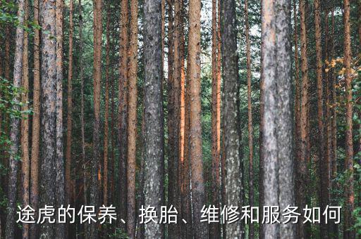 途虎的保養(yǎng)、換胎、維修和服務(wù)如何