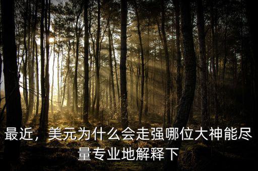 最近，美元為什么會走強哪位大神能盡量專業(yè)地解釋下