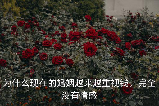 為什么現(xiàn)在的婚姻越來(lái)越重視錢(qián)，完全沒(méi)有情感