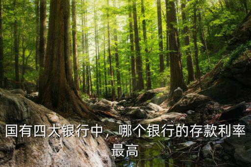 國有四大銀行中，哪個銀行的存款利率最高