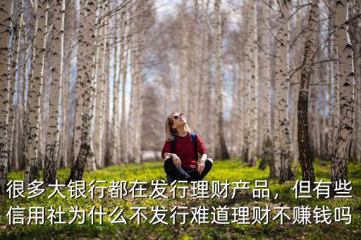 很多大銀行都在發(fā)行理財(cái)產(chǎn)品，但有些信用社為什么不發(fā)行難道理財(cái)不賺錢(qián)嗎