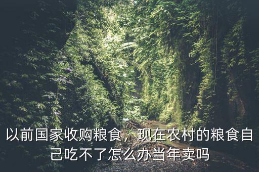 以前國(guó)家收購(gòu)糧食，現(xiàn)在農(nóng)村的糧食自己吃不了怎么辦當(dāng)年賣(mài)嗎
