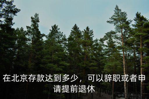 在北京存款達到多少，可以辭職或者申請?zhí)崆巴诵? class=