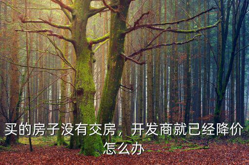 開發(fā)商降價業(yè)主怎么辦,開發(fā)商降價賣樓