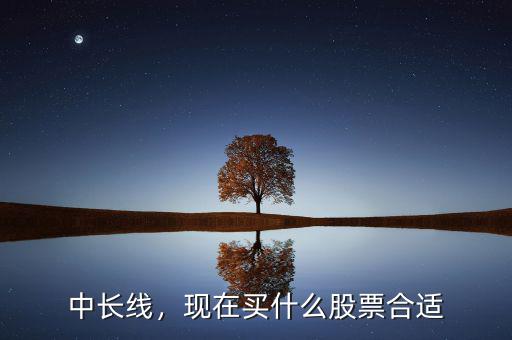 中長線，現在買什么股票合適