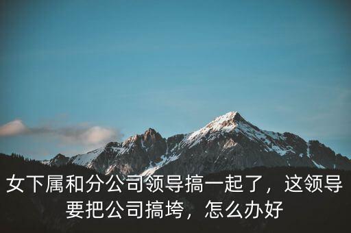 女下屬和分公司領(lǐng)導(dǎo)搞一起了，這領(lǐng)導(dǎo)要把公司搞垮，怎么辦好