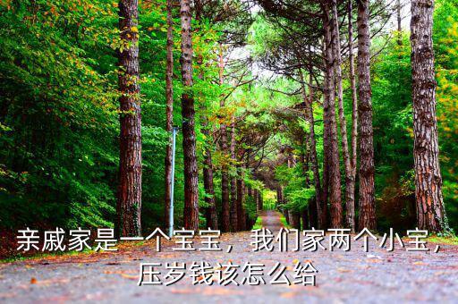 親戚家是一個寶寶，我們家兩個小寶，壓歲錢該怎么給