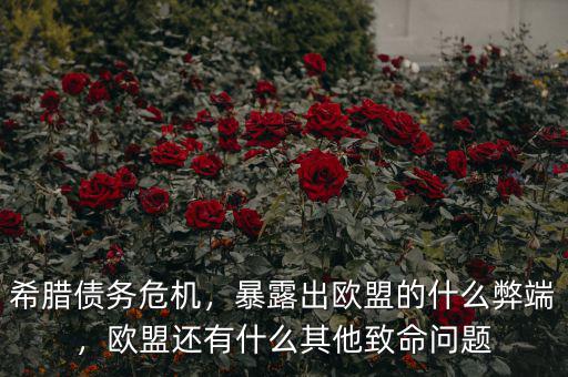希臘債務(wù)危機，暴露出歐盟的什么弊端，歐盟還有什么其他致命問題