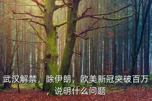 武漢解禁，除伊朗，歐美新冠突破百萬，說明什么問題