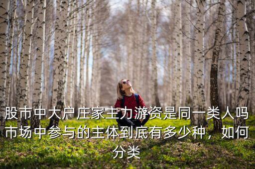 股市中大戶莊家主力游資是同一類(lèi)人嗎市場(chǎng)中參與的主體到底有多少種，如何分類(lèi)