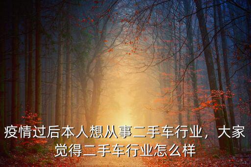 二手車市場(chǎng)怎么樣投資,大家覺得二手車行業(yè)怎么樣