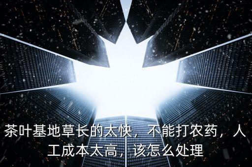 茶葉基地草長(zhǎng)的太快，不能打農(nóng)藥，人工成本太高，該怎么處理