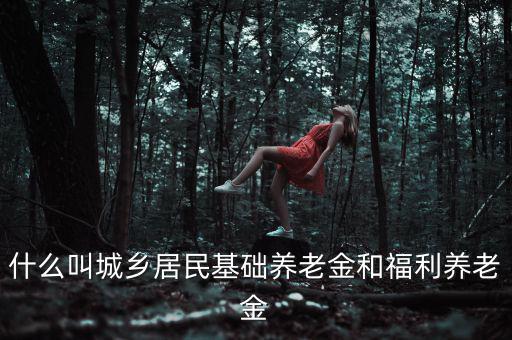 什么叫城鄉(xiāng)居民基礎養(yǎng)老金和福利養(yǎng)老金
