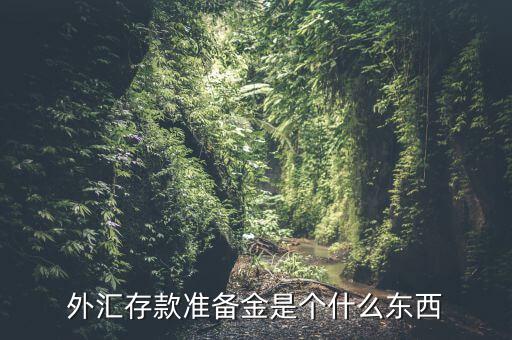 什么是存款準備金,什么是存款準備金