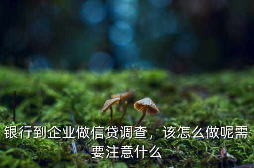 銀行去木材加工企業(yè)做貸前調(diào)查應該注意什么,需要注意什么
