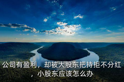公司有盈利，卻被大股東把持拒不分紅，小股東應(yīng)該怎么辦