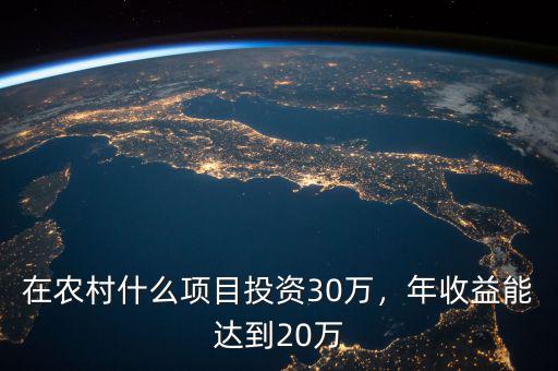 在農(nóng)村什么項目投資30萬，年收益能達(dá)到20萬