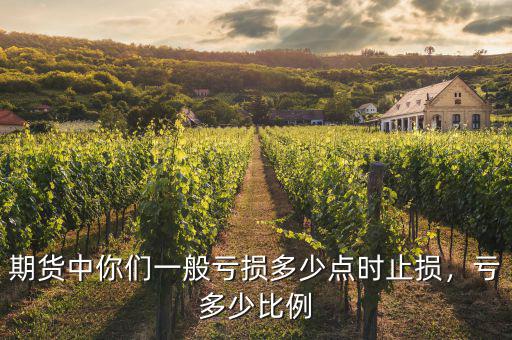 期貨中你們一般虧損多少點(diǎn)時(shí)止損，虧多少比例