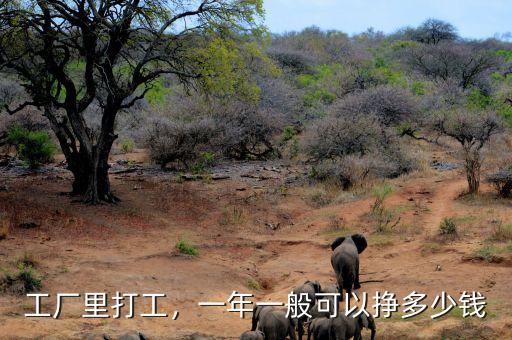 工廠里打工，一年一般可以掙多少錢
