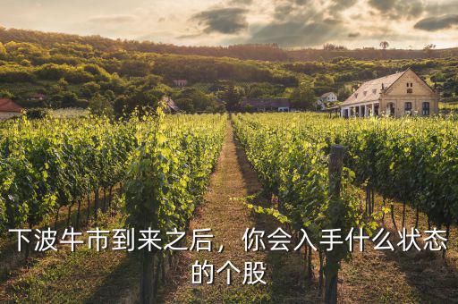 牛市過(guò)后買(mǎi)什么股,下波牛市到來(lái)之后