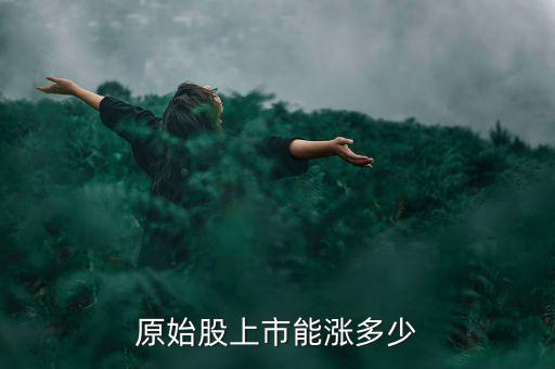 原始股要多少市值,現市值和收益是多少