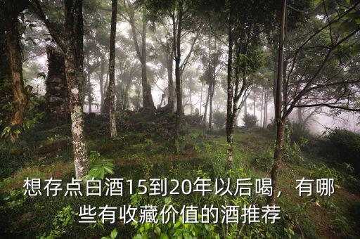 想存點(diǎn)白酒15到20年以后喝，有哪些有收藏價(jià)值的酒推薦