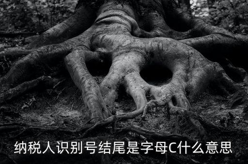 c級(jí)納稅人是什么意思，納稅人識(shí)別號(hào)結(jié)尾是字母C什么意思