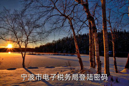 電子稅務默認登錄密碼是什么，稅務局網(wǎng)站的登入賬戶初始密碼是什么