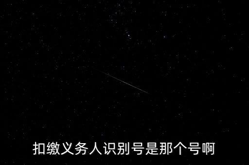 扣繳義務(wù)人識別號是那個號啊