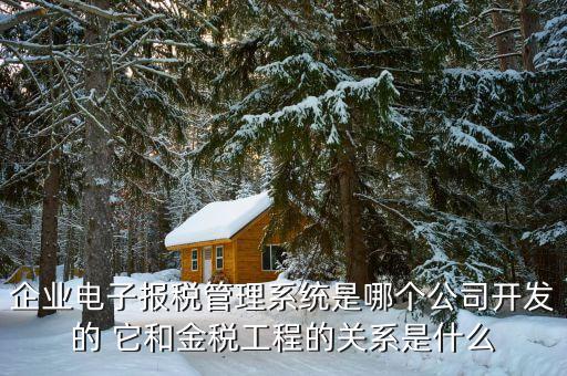 什么是網(wǎng)稅系統(tǒng)，企業(yè)電子報(bào)稅管理系統(tǒng)是哪個(gè)公司開發(fā)的 它和金稅工程的關(guān)系是什么