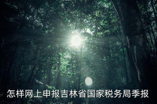 吉林省用什么報(bào)稅系統(tǒng)，吉林省的報(bào)稅系統(tǒng)如何使用