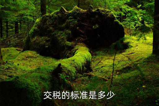 國家收稅的標(biāo)準(zhǔn)是什么，交稅的標(biāo)準(zhǔn)是多少