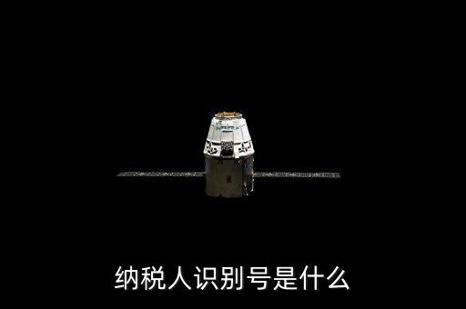 海寧市國家稅務局認別號是什么，納稅人識別號是什么