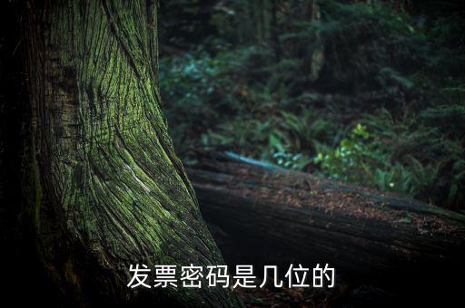 普通發(fā)票密碼是什么，國(guó)稅局發(fā)票軟件里用戶代碼和密碼是什么
