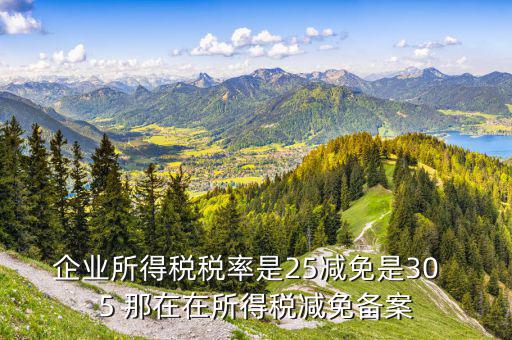 增值稅優(yōu)惠什么備案表，增值稅減免稅備案需要哪些資料