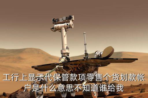 稅收代保管資金是什么，稅費資金是什么意思