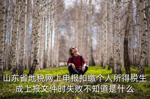 山東地稅網(wǎng)為什么沒(méi)法報(bào)稅，山東地稅網(wǎng)上申報(bào)系統(tǒng)網(wǎng)頁(yè)無(wú)法訪問(wèn)是什么原因