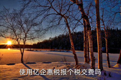 深圳億企惠稅報(bào)什么稅，稅友億企惠稅是用來申報(bào)地稅還是國稅