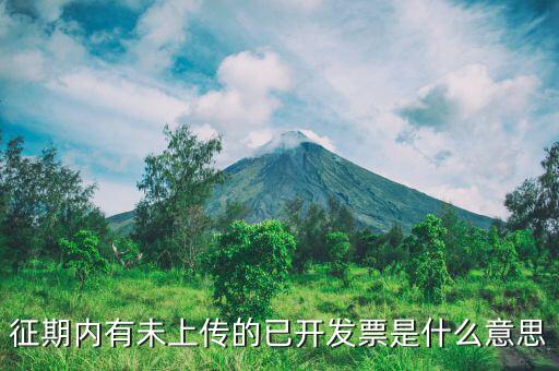 申報(bào)沒上傳是什么意思，我在財(cái)務(wù)申報(bào)時(shí)沒上傳第二天可以不傳嗎