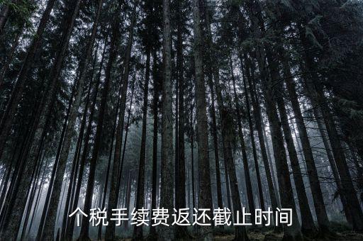 個稅手續(xù)費返還什么時候還，個稅手續(xù)費返還時間