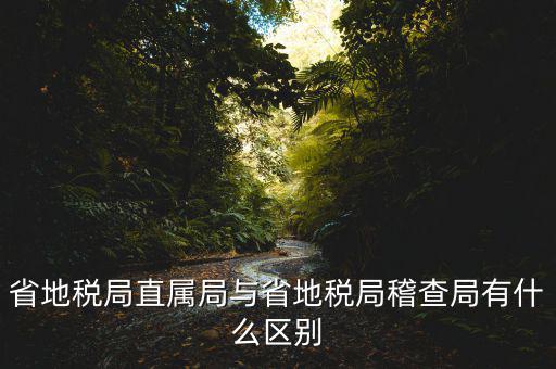 什么是地稅直屬局，國家稅務(wù)局直屬稅務(wù)分局是什么意思