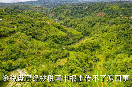 金稅申報(bào)發(fā)送不了是什么原因，金稅盤已經(jīng)抄稅可申報(bào)上傳不了怎回事