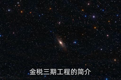 金稅三期工程的簡(jiǎn)介